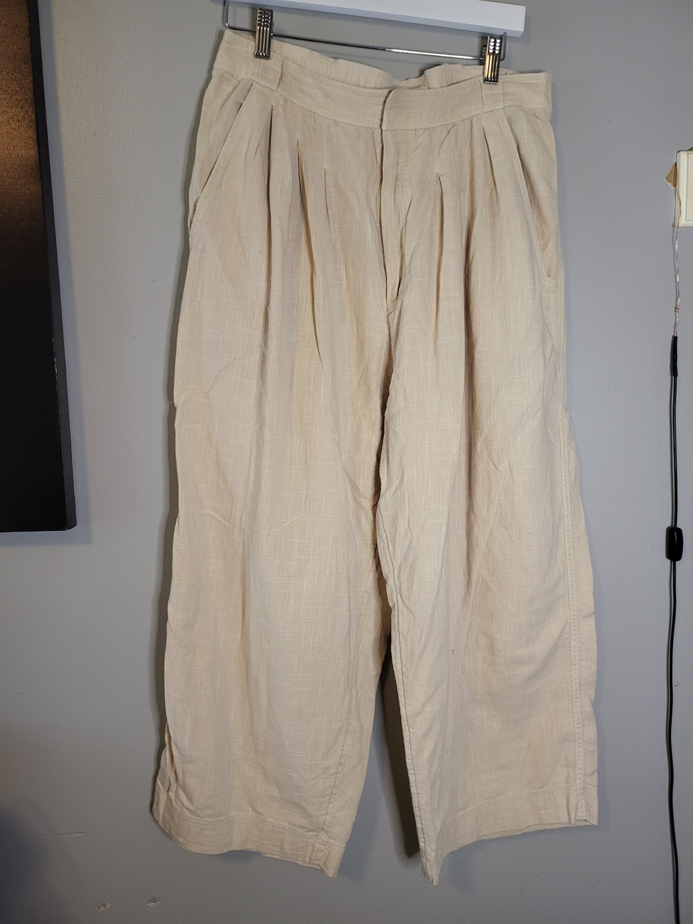 Free People Men's Wide-Leg Pleated Chinos in Cream